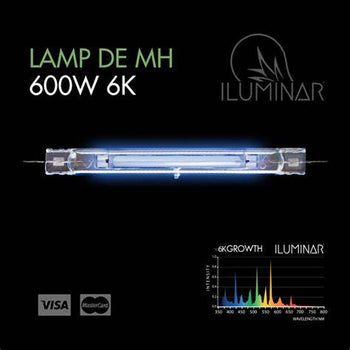 Iluminar DE Bulb 600w 6000K